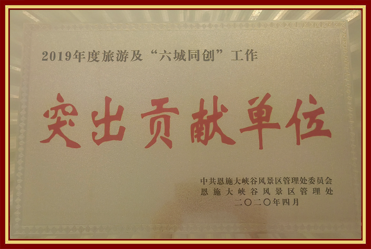 2019年度荣获突出贡献单位