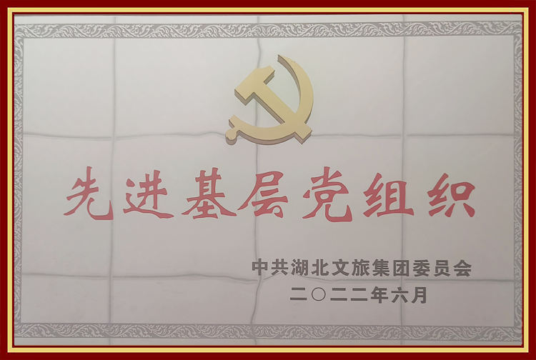 2022年荣获先进基层党组织