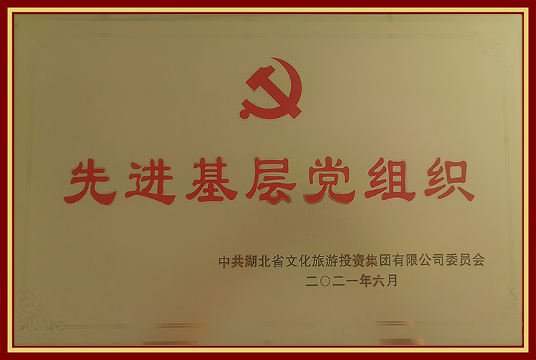 2021年荣获先进基层党组织