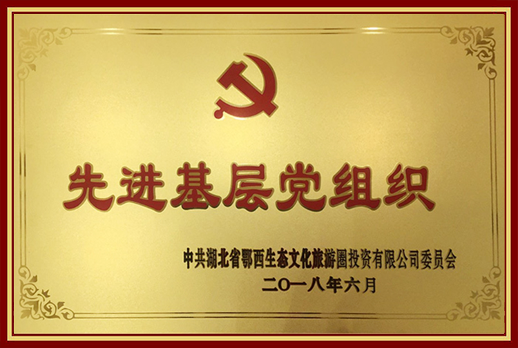 2018年荣获先进基层党组织