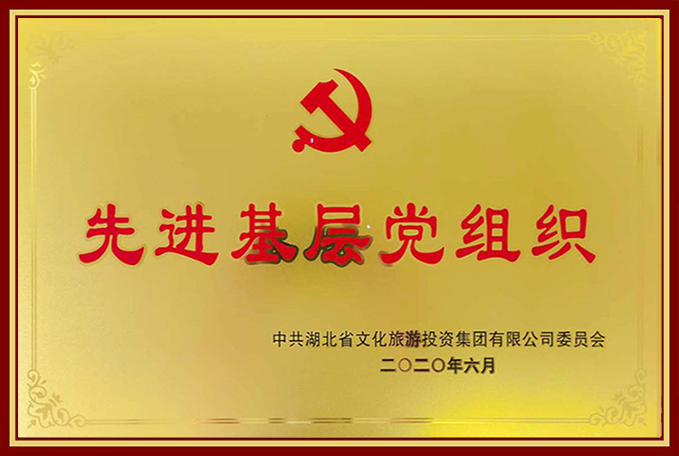 2020年先进基层党组织