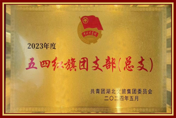 2023年度五四红旗团总支